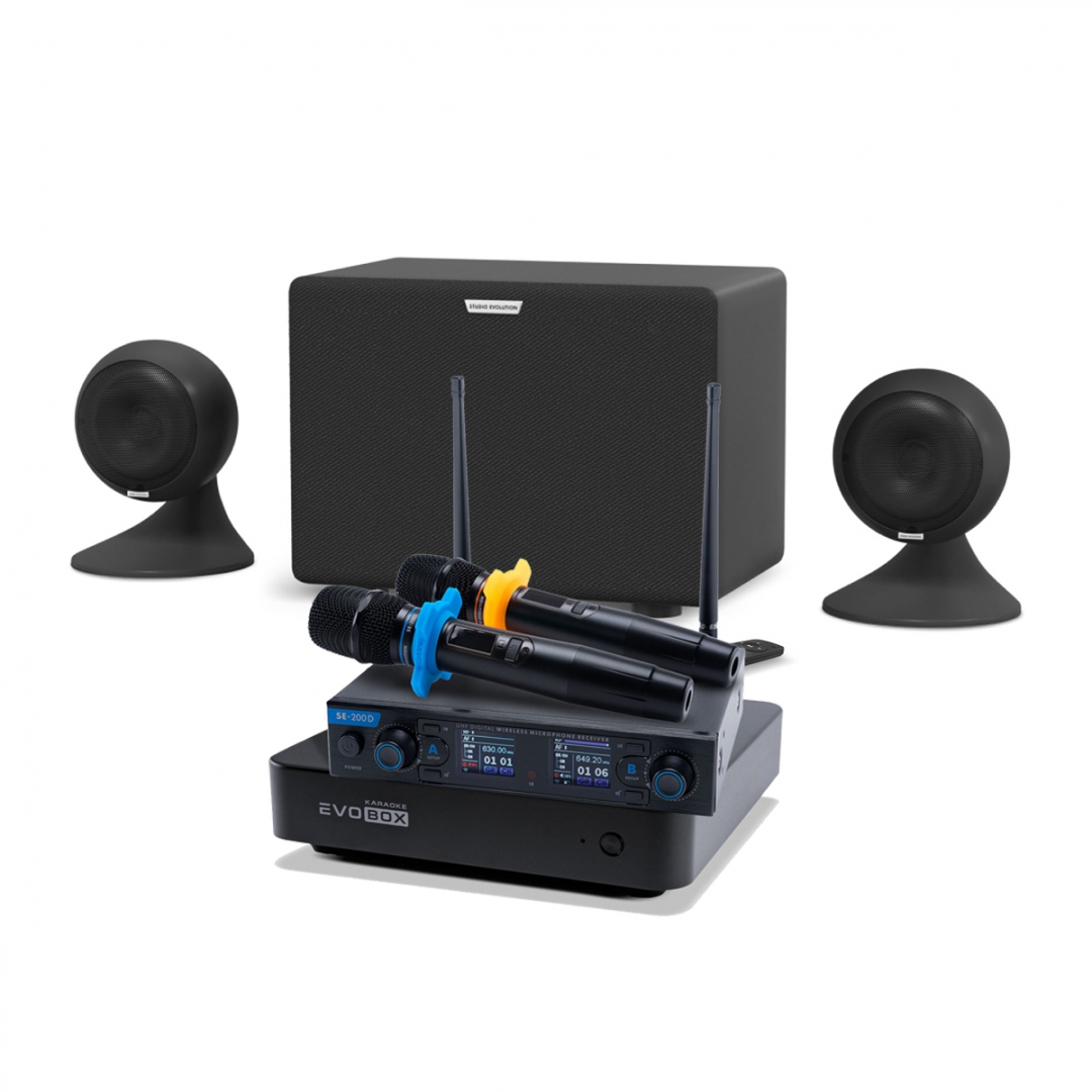 караоке-комплект EVOBOX + EvoSound Sphere 2.1 в Киришах