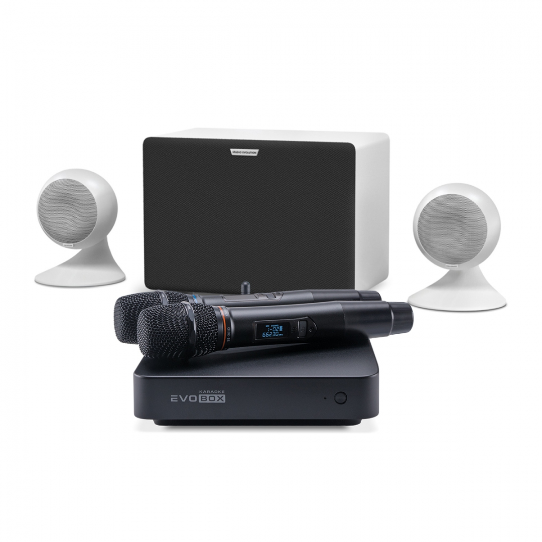 караоке-комплект EVOBOX Classic + EvoSound Sphere 2.1 в Киришах