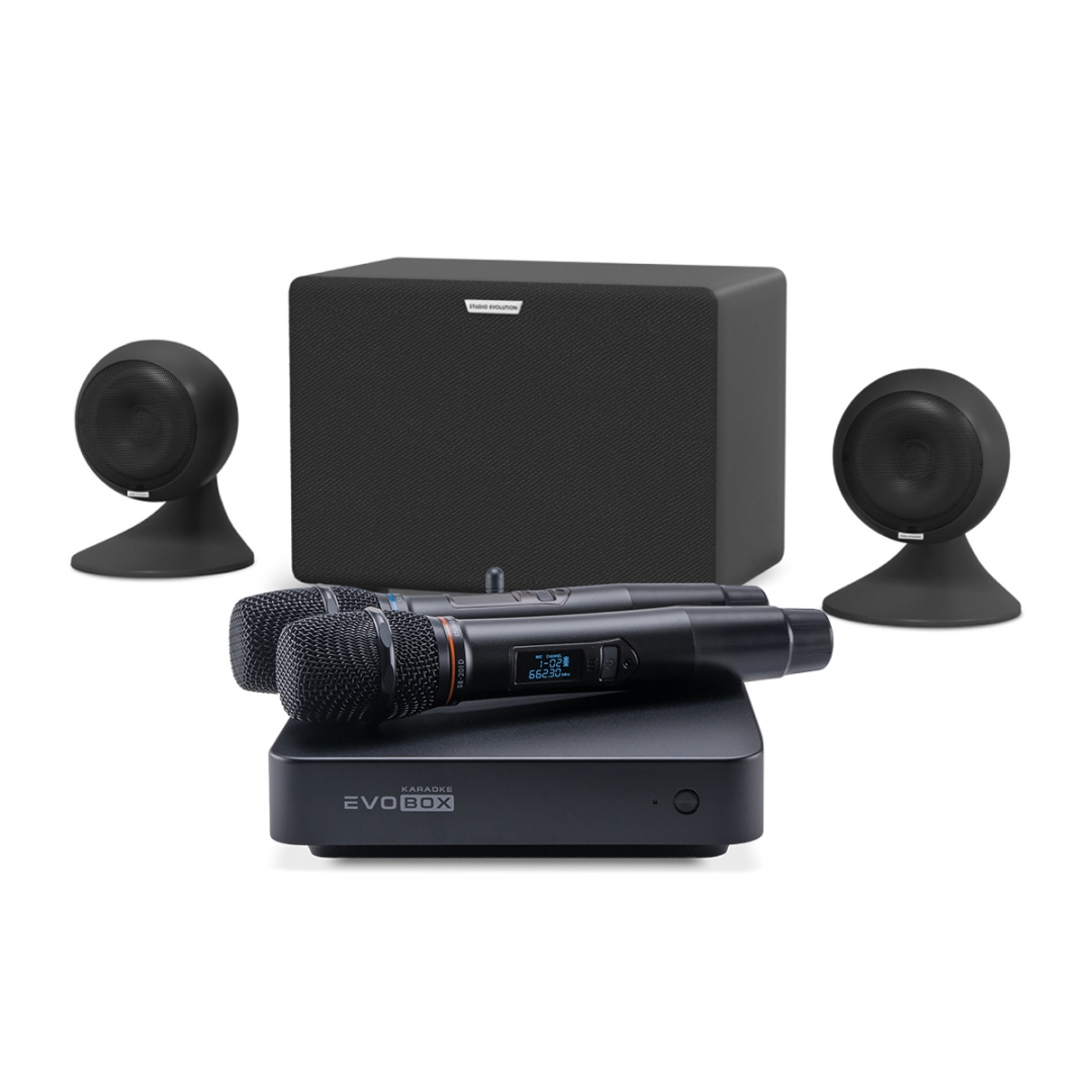 караоке-комплект EVOBOX Plus + EvoSound Sphere 2.1 в Киришах