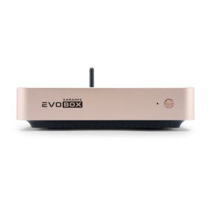 EVOBOX Classic караоке-система для дома в Киришах