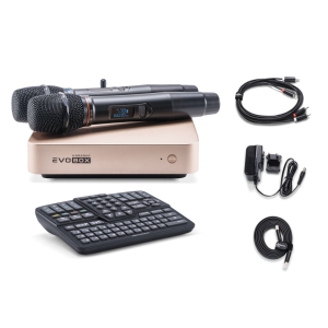 EVOBOX Classic караоке-система для дома в Киришах