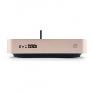 EVOBOX Plus караоке-система для дома в Киришах
