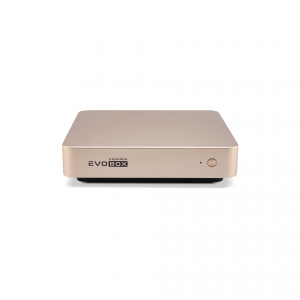 EVOBOX с микрофонами в Киришах
